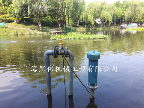 河道治理沉水式鼓奶茶视频在线观看 河道治理沉水式鼓奶茶视频在线观看