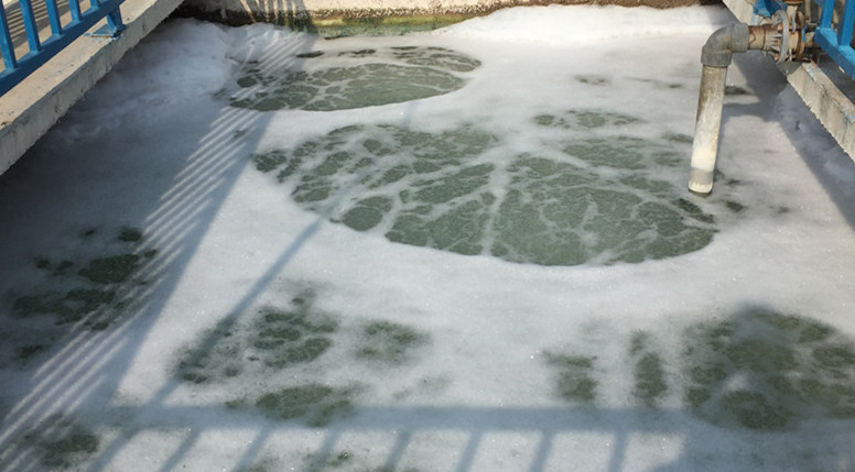 負壓真空羅茨奶茶视频在线观看在造紙廠紙漿脫水環節能耗表現怎樣